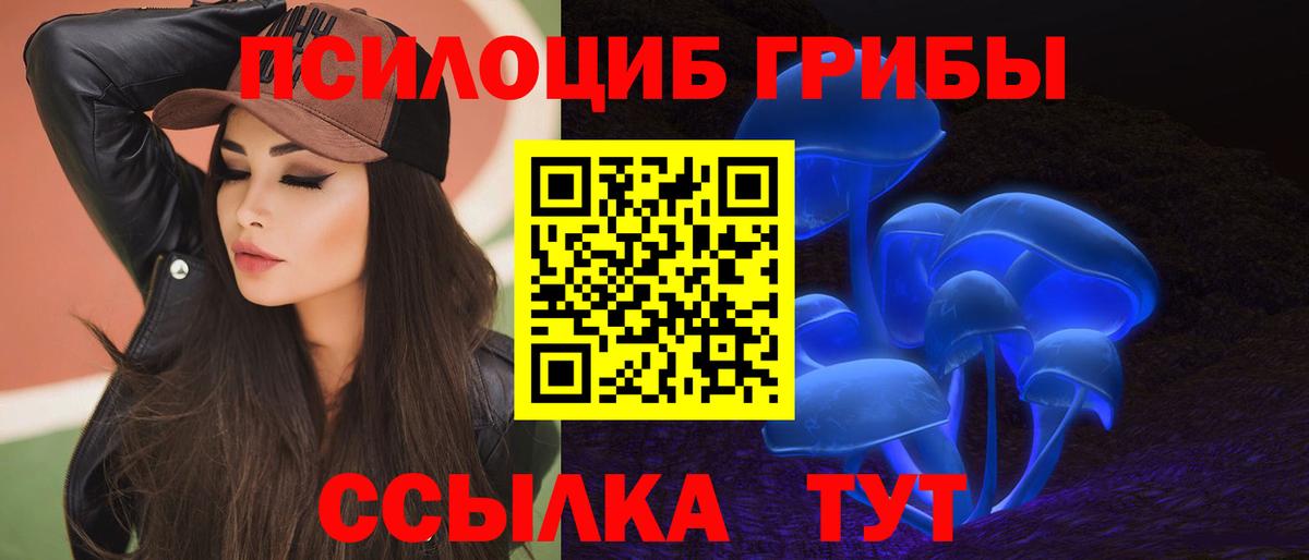 Псилоцибиновые грибы Psilocybe Сафоново